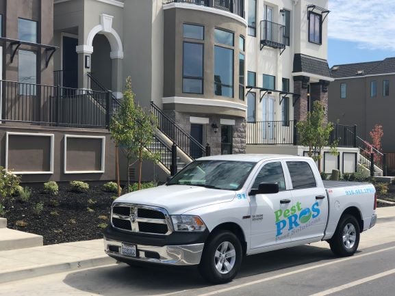 Avatar for Pest Pros Pest Solutions